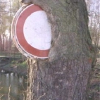 Znak w drzewie