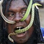 Węże w nosie