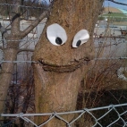 Uśmiechnięte drzewo