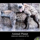 Animal Planet siuks24