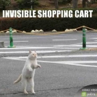 Niewidzialny wózek na zakupy