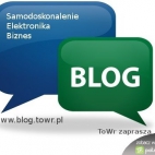 blog towr