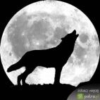 Howling Wolf biografia
