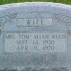 Allen Tom tapety