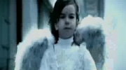 Morandi - angels.video