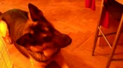 2010-03-21 20:04:43
