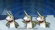 narwhals