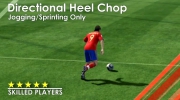 2010 FIFA World Cup South Africa - Gameplay