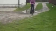 Maja