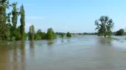 Powódź 2010 - Widawa
