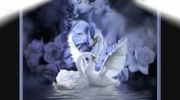 2010-05-28 17:28:21