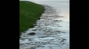 Tczewska majowa powódź 2010