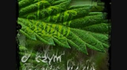 2010-06-03 22:17:59