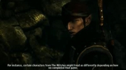 The Witcher 2 dev diary 2
