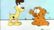 jak narysować Garfielda i jak go pomalować?
