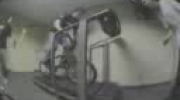 Jackass treadmill
