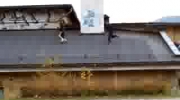 Le parkour Mega Jump