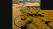 NEW BEST OF CROP CIRCLE 2010
