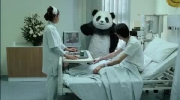 Nie denerwuj pandy