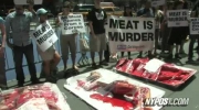 "Mięso to morderstwo !"