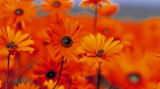 2010-08-07 14:43:14