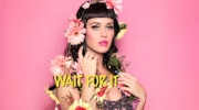 Katy Perry - "Not Like the Movies" - KARAOKE