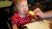 Dzieci jedzą pierwszy raz cytrynę