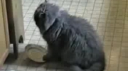 2010-09-22 11:12:08