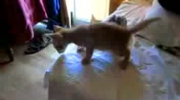 2010-09-28 19:52:03
