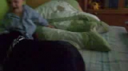 Rottweiler i dziecko