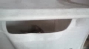 kocia zabawa w pojemniku na bieliznę