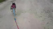 Poranny trening z Arisem