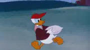 Donald Duck-Pilot Testowy