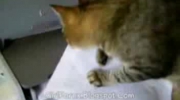 2010-11-13 08:41:06