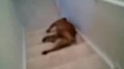 2010-11-13 08:56:06