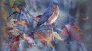 2010-12-17 11:38:21