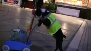 Psi Serwis Sprzątający