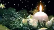 2010-12-23 13:51:41