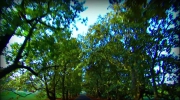 2011-01-04 23:00:23