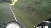 Motorcyclist Nails A Pig - extreme