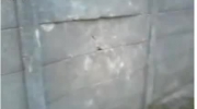 2011-04-03 15:50:15