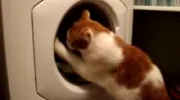 2011-04-11 21:21:13