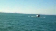 Wieloryb wskoczył na jacht! Świetne nagranie z Afryki