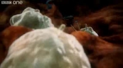 2011-05-05 23:46:33