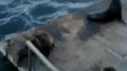 2011-05-23 12:35:33