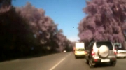 bike_vs_car