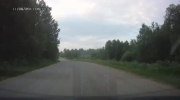 Uwaga dzik !