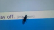 2011-06-18 16:46:58