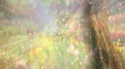 2011-07-17 10:56:51