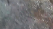 Wojsko eskortuje UFO